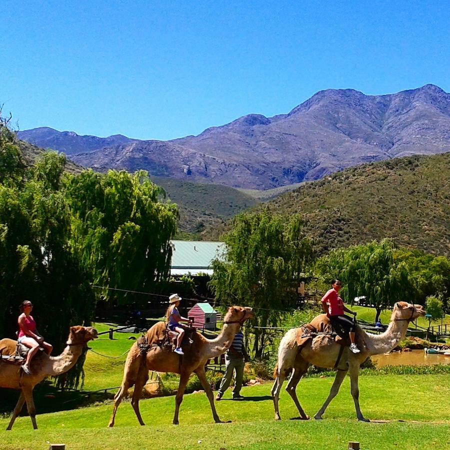 أوتشورن Wilgewandel Holiday Farm & Day Restaurant المظهر الخارجي الصورة